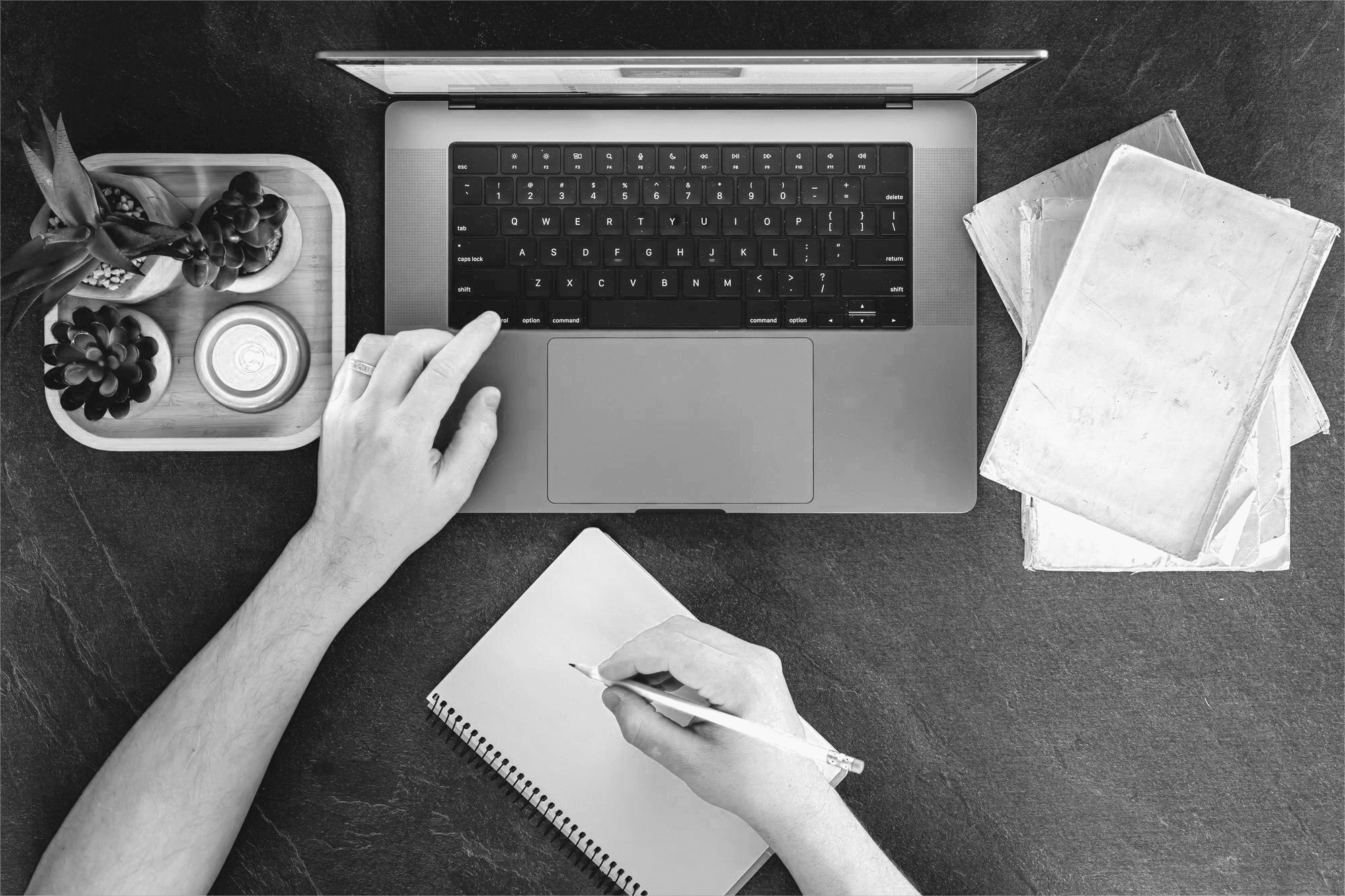 freepik__adjust__324 (1)